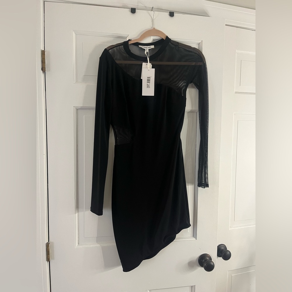 ELIZABETH & JAMES Mesh Asymmetrical Mini Dress